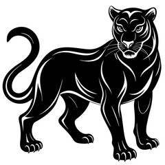 black and white tiger