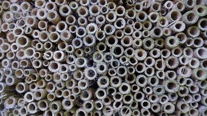 Close Up of Bamboo Tubes Natural Texture and Pattern Photography