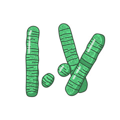 Oscillatoria is a genus of filamentous cyanobacteria or blue-green algae. They are commonly found in various aquatic environments, including freshwater, marine habitats, and moist terrestrial areas