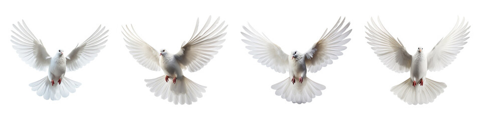 Collection of dove Flying isolated on transparent background