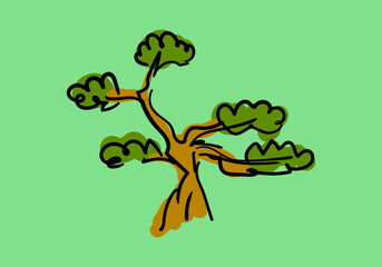 bonsai tree vector illustration in draw style.