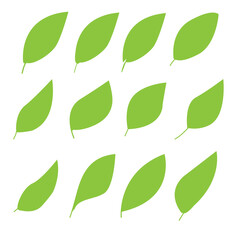 Green leaves of Nature: A Botanical Collection