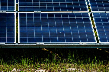 photovoltaic solar panels, alternative energy concept. solar energy panels on the field.