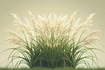 Pampas grass isolated on white background with filter effect retro vintage style