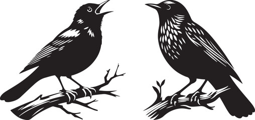 Blackbird Vector image