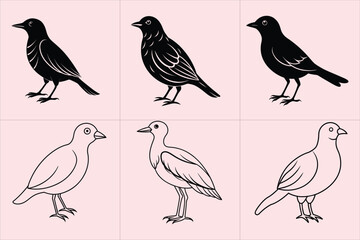 Print birds vector illustration.