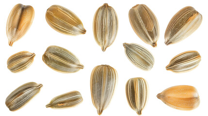 Organic Sunflower Seeds Set Isolated on White Background. Macro Photography of Healthy Snack Ingredient with Natural Nutrition, Ideal for Culinary and Health Concepts.