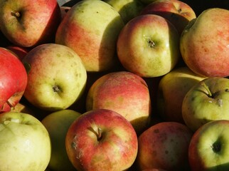 Closeup of red and yellow apples in the market