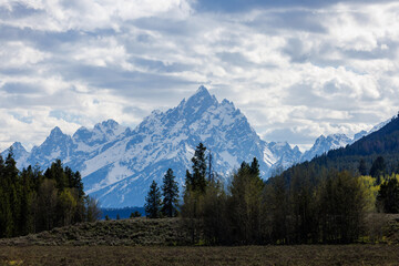 Fototapeta premium Cathedral Group mountains in Grand Teton National Park Jackson Hole Wyoming