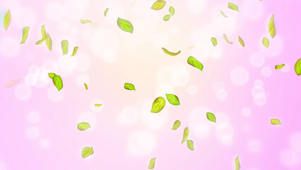 Spring background, spring background with green leaves and bokeh