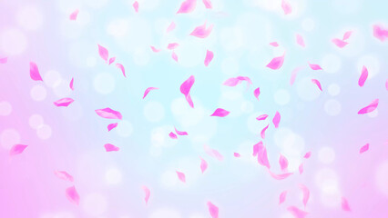 Pink Rose Petals, cherry blossom on spring background, nature