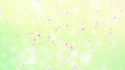 Pink Rose Petals, cherry blossom on spring background, nature