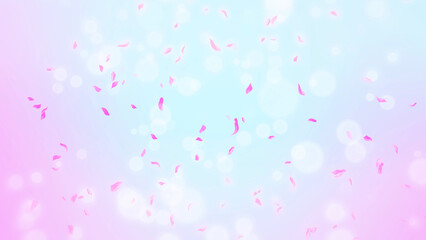Pink Rose Petals, cherry blossom on spring background, nature