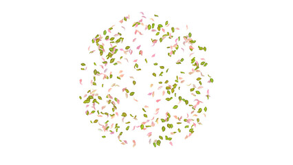 Leaves and Petals Blast on white background 