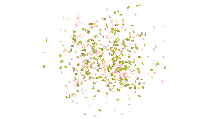 Leaves and Petals Blast on white background 