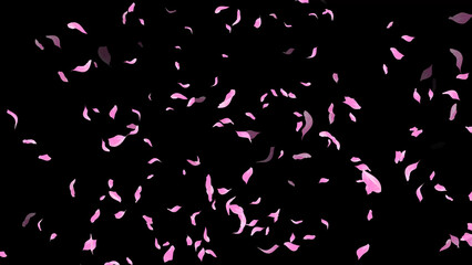 Falling Rose Petals on dark black background, wedding, romance, love, Valentines