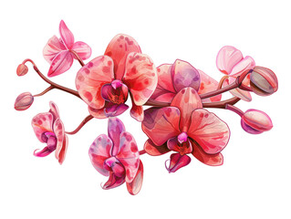 A vibrant pink orchid branch with delicate petals and spotted details, perfect for floral designs.