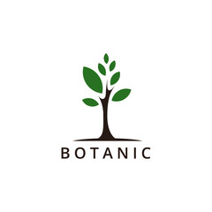 Botanic logo design template.
