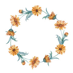 Calendula wreath of flower buds isolated on white. Watercolor illustration drawn by hand.