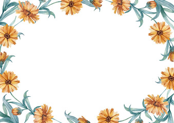 Calendula frame of flower buds isolated on white. Watercolor illustration drawn by hand.