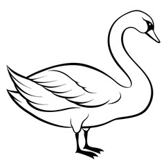 illustration of a goose