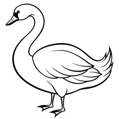 illustration of a duck