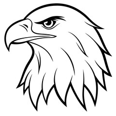 eagle head vector illustration