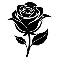 black rose vector illustration