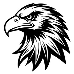eagle head illustration