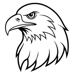 eagle head vector illustration