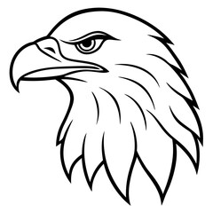 eagle head isolated on white