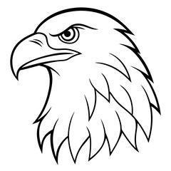 eagle head vector illustration