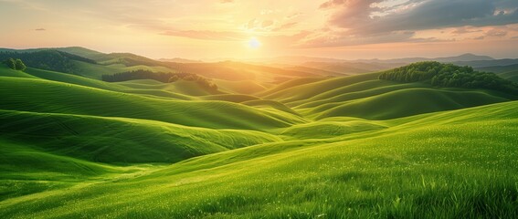 Obraz premium Beautiful green grassy hills with a sunset in the background