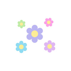 Daisy Flower Colorfull