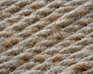  Natural fiber rope, highlighting its coarse and organic appearance. The woven strands and earthy beige tones provide a rustic, handcrafted feel, ideal for backgrounds, crafts, eco-friendly projects.