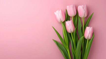 Fototapeta premium Minimalistic scene composed of green stems with vivid pink tulips