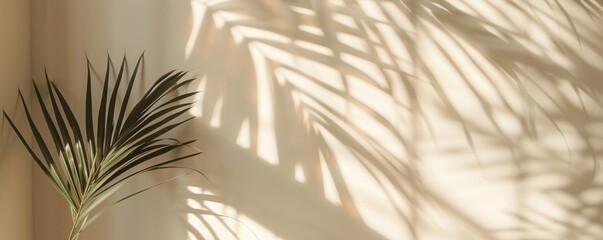 Palm leaf and shadow on beige wall, minimalistic decor