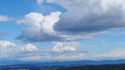 Malahat SkyWalk in Victoria