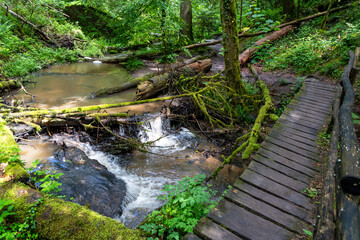 Fototapeta premium Strümpfelbachtal