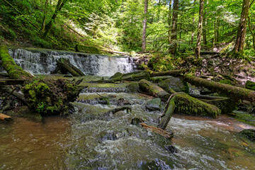 Strümpfelbachtal