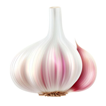 A single garlic bulb with a purple hue, isolated on a white background. The garlic is depicted in a realistic style, Cut-out PNG