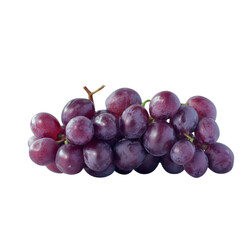 Fototapeta premium A bunch of red grapes, still on the vine, with an isolated background.