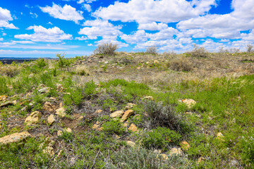 Remains of ancient pueblo wall.