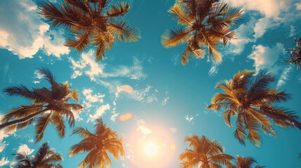 A scenic view of palm trees reaching towards a vivid blue sky with golden sunlight, providing a sense of warmth, calm, and the beauty of nature in a tropical setting.
