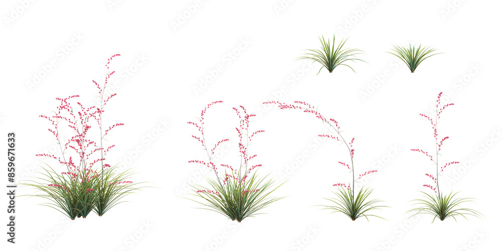 Poster set of red yucca trees on transparent background, 3d rendering