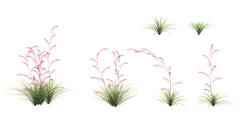 set of Red yucca trees on transparent background, 3D rendering