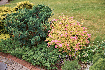 Decorative shrubs, flowers, moss are some of the most beautiful representatives of flora used in landscape art. Selective focus