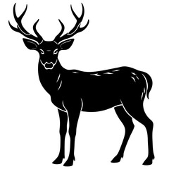 buck-silhouette-on-white-background 
