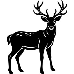 buck-silhouette-on-white-background 
