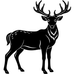 buck-silhouette-on-white-background 